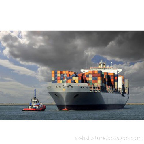 Sea Freight Services, from China Main Port to Europe, Med, Black Sea, Middle East, Red Sea and More